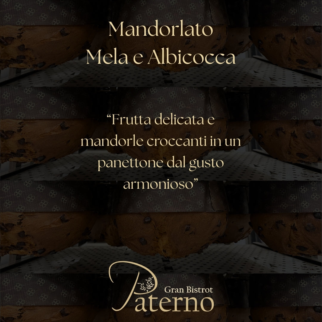 Panettone Artigianale Mandorlato Mela e Albicocca