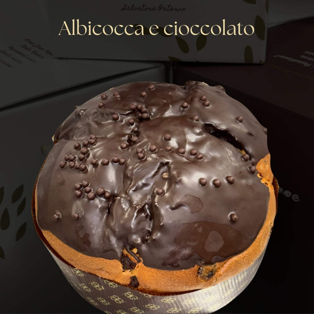 Panettone Artigianale Albicocca e Cioccolato